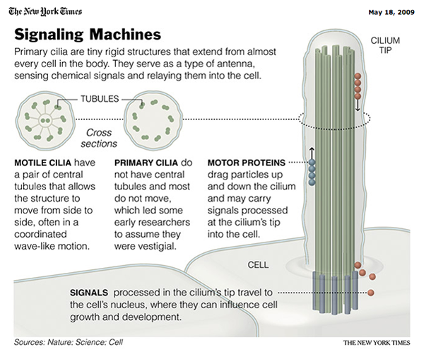 cell_antenna