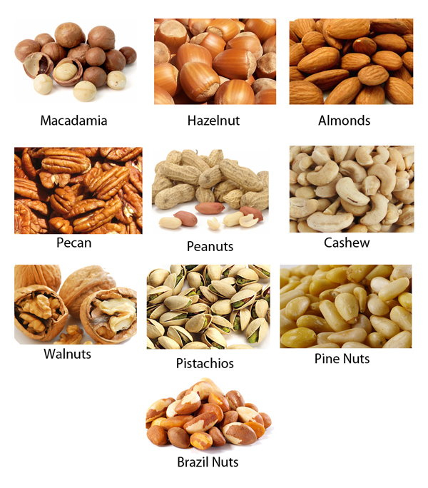 Все орехи мира список с фото